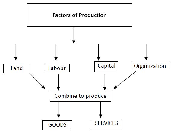 list and explain four factors of production