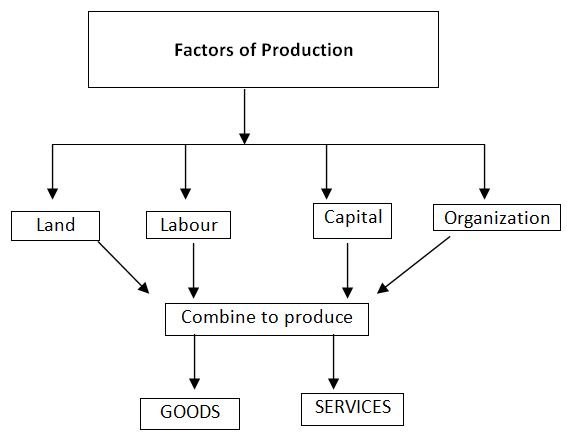 Factors Of Production Homework Help In Microeconomics Homework1